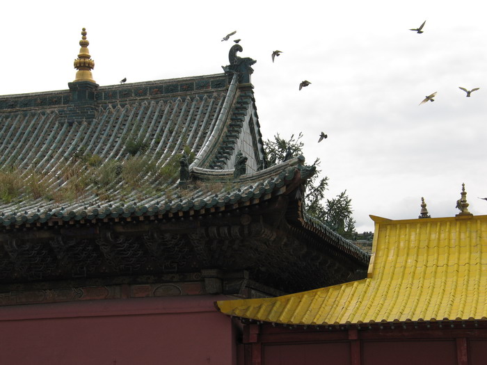 Roof tops at Ganden Monastery, Ulan Bator, Mongolia.
