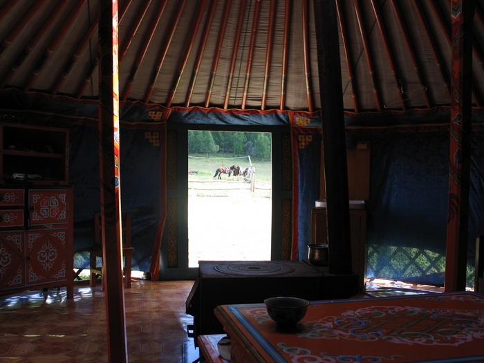 After lunch, looking out of the yurt into the horse field.