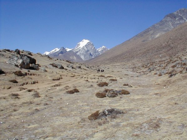 Heading up into the high altitudes above the tree line.