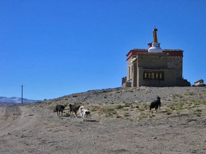 Small temple and wild dogs. Zhongba, Western Tibet.