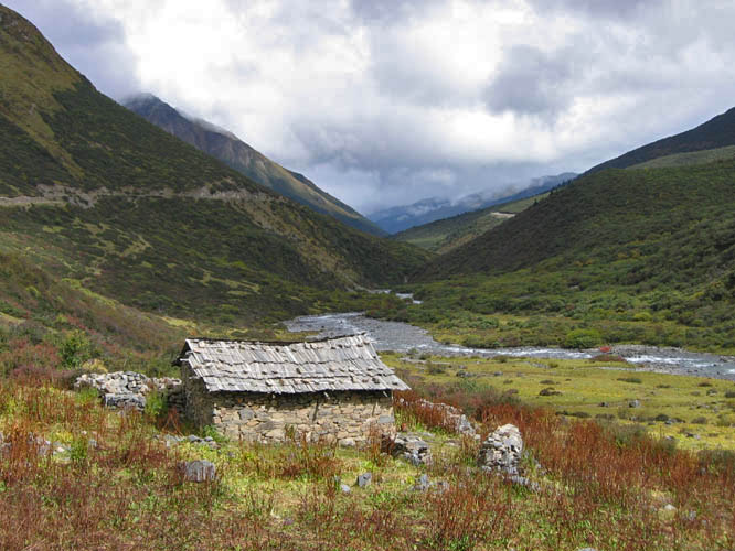 After descending into the Tsari valley everything changed. The weather, the plants, the houses are all completely different from the rest of Tibet.