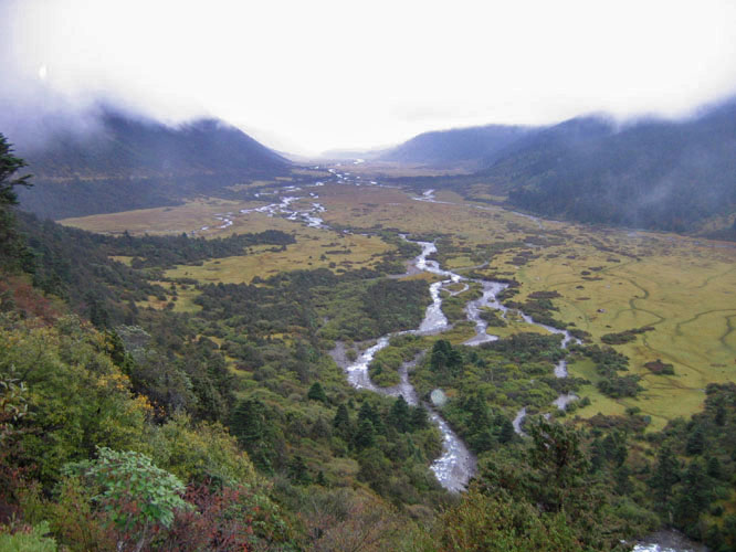 The Tsari River opens into a big open plain where nomads come to graze their animals.