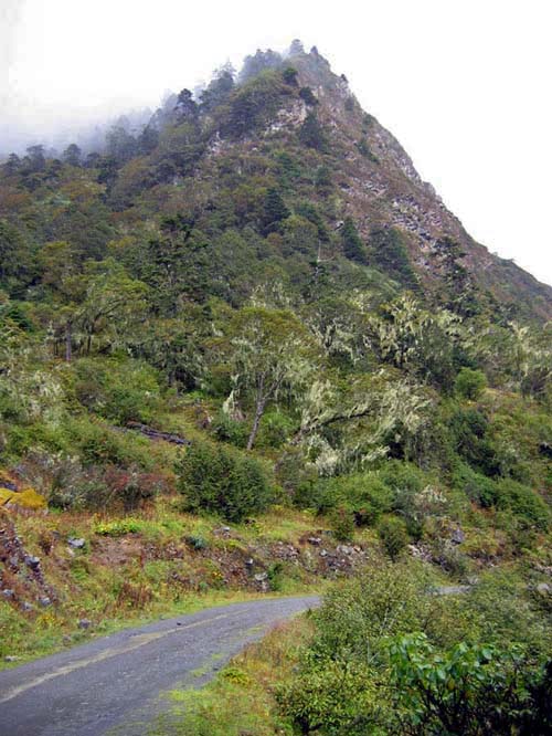 The dirt road to Yarap, the start of the walk around Tsari.