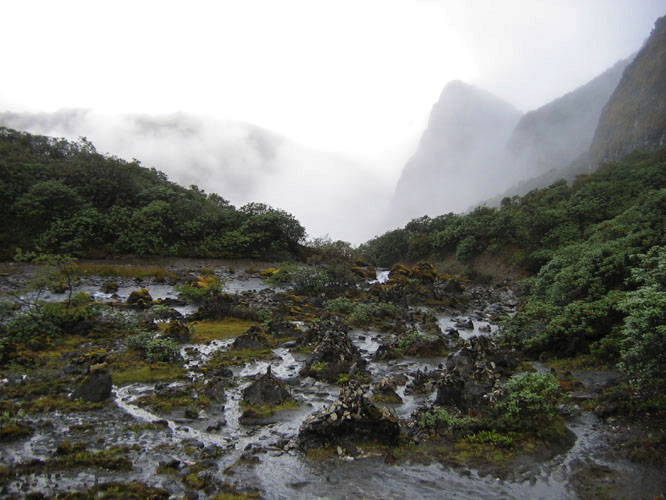 The start of the trail (and the mud) that circles around Tsari.