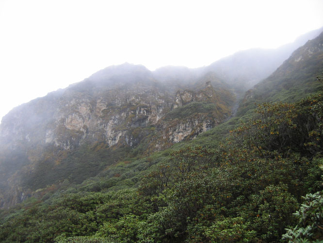 It was soon clear that is the not the Tibetan high altitude and arid dessert that I had traveled in so many times before.