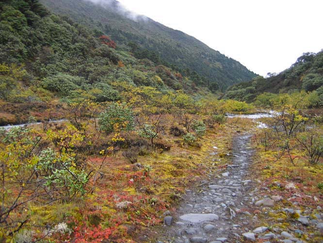 A good part of the trail around Dakpa Shelri.