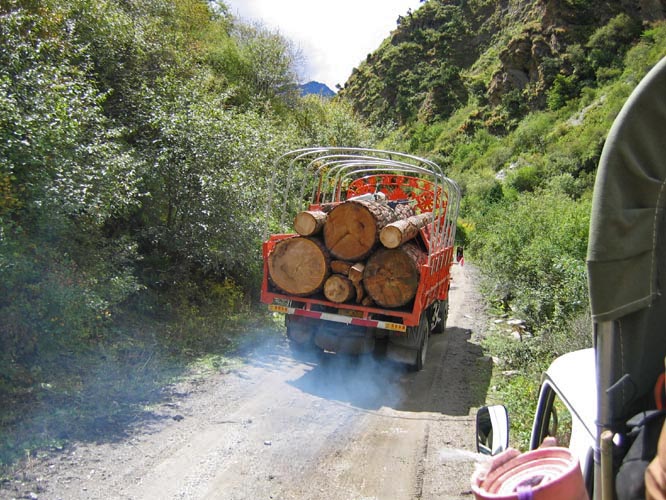 There is a little timber that is being taken out of the Tsari region, but because it so inaccessible most of the entire area is still virgin old grown forest.