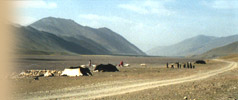 Tibetan Nomads in Western Tibet