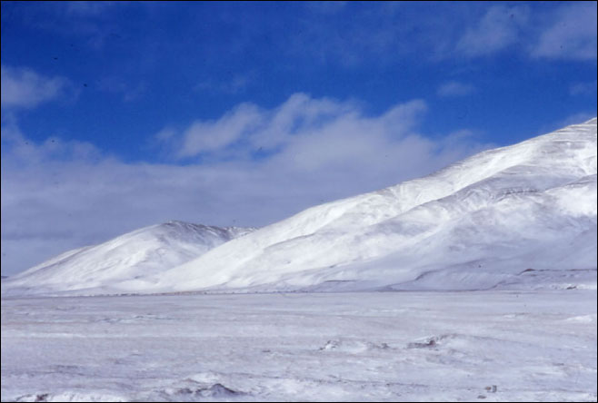 The Chinese truck drivers would always warn us about the Tibetan wolves that roamed this desolate frozen land. The Chinese were very fearful of the wovles but the Tibetans did not think they were a problem for humans. Amdo, Tibet.