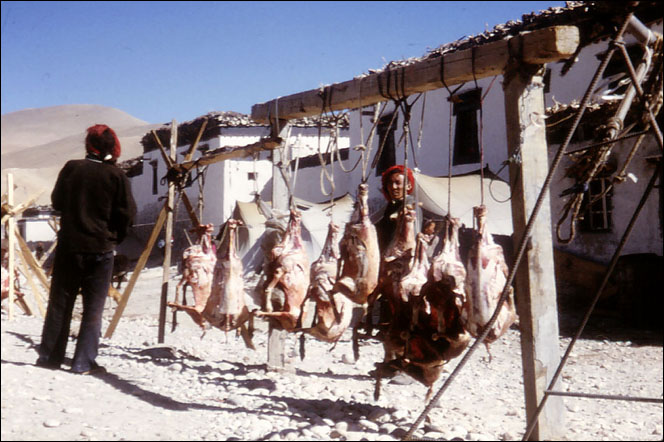 Tibetan nomads sell freshly butchered sheep on the road side. Tingre, Tibet.