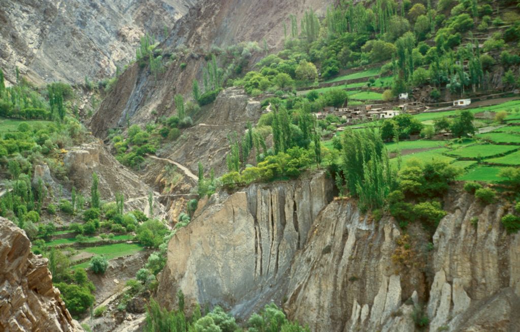 Popular trees and lush cultivated fields of the Hunza Valley, Northern Pakistan.