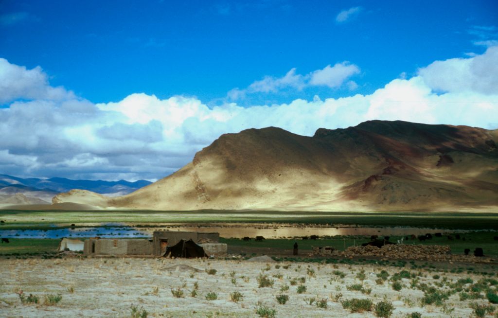 Even though these "nomads" have a house, they have still set up their tent in the front yard. Before Saga, Tibet.