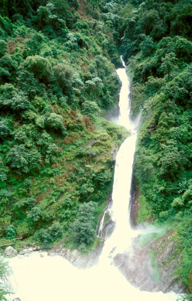 Once we descended to the border region of Nepal, we were greeted by sights and sounds that we had not experienced for months. For more than a couple months we had almost never even seen a tree. Near Kodari, Nepal.