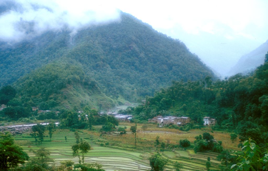 Nepal was filled with vegetation and people. After Kodari, Nepal.